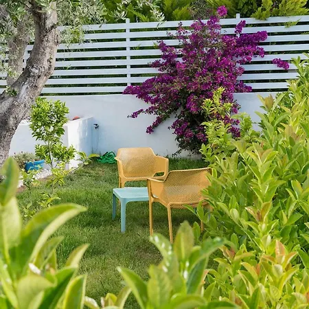 Casrienn * Mattinata