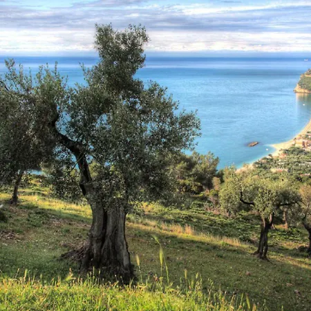 Casrienn * Mattinata